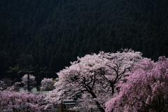 山肌に浮かび上がる