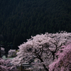 山肌に浮かび上がる