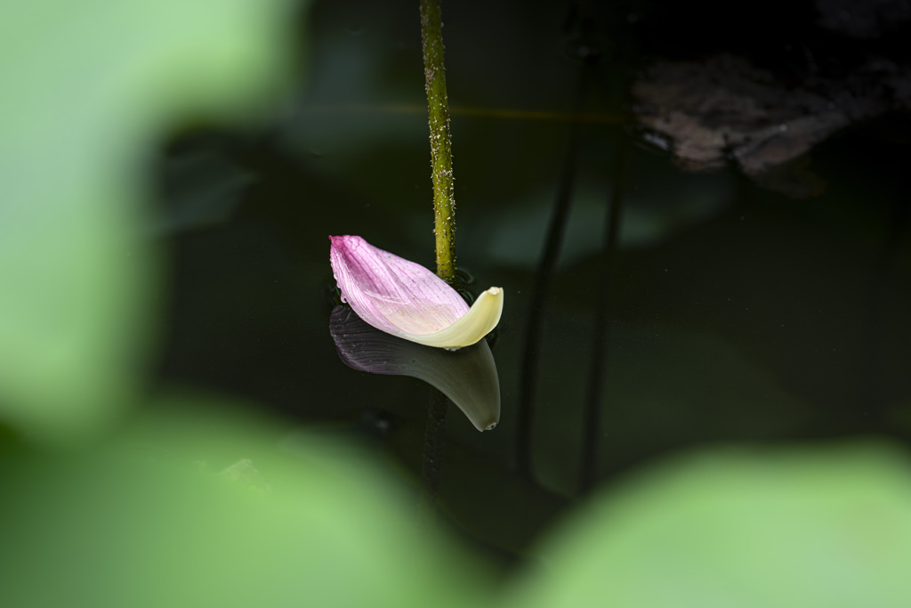 小さな舟にのって１