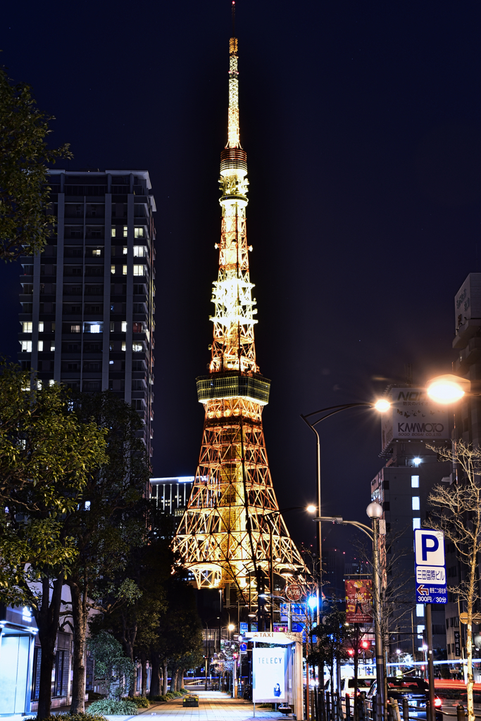 東京タワー