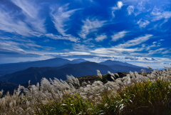 ススキと秋の空