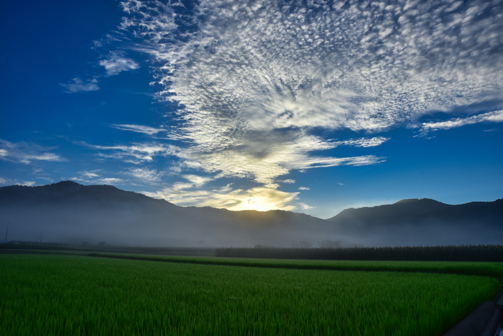 朝日と夏雲