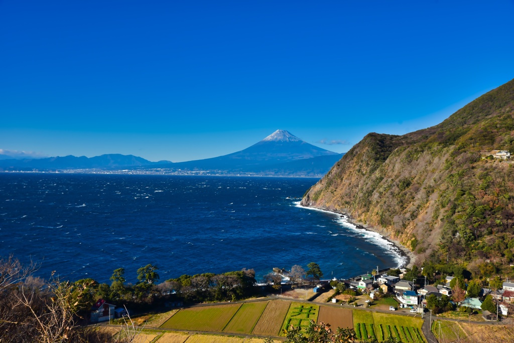 海と富士山