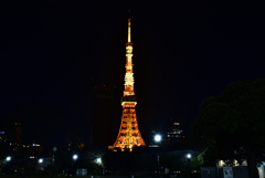 浮かぶ東京タワー