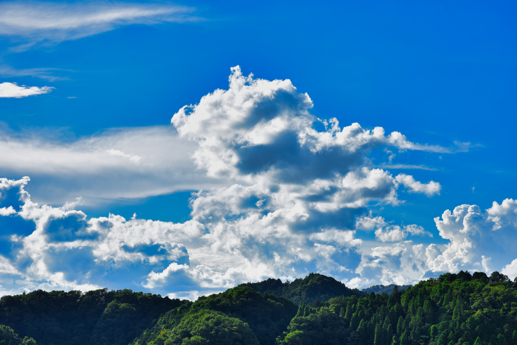 夏の雲