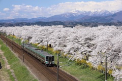 柴田千桜橋から