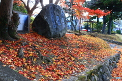 石上神宮外苑公園の紅葉　３