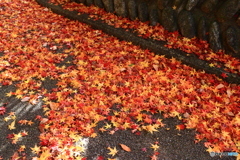 石上神宮外苑公園の紅葉　４