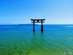 白髭(しらひげ)神社　湖上大鳥居