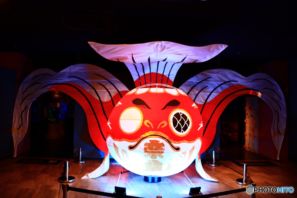 金魚ミュージアムのアート　１