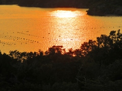 英虞（あご）湾の夕暮れー２