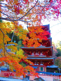 長谷寺　五重塔