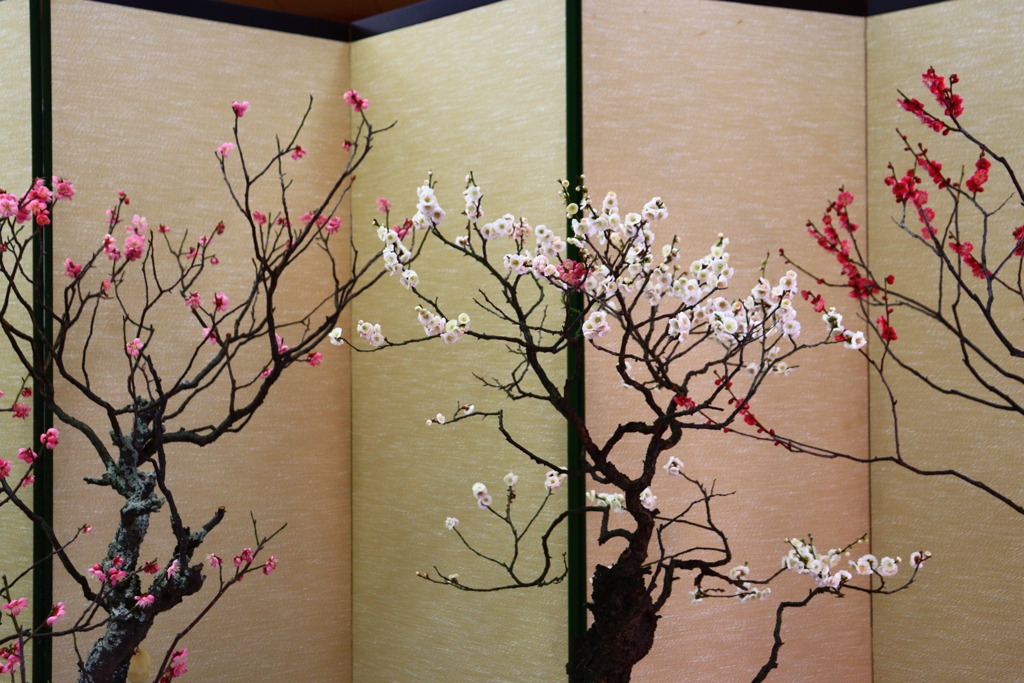 菅原天満宮盆梅展ー４