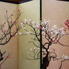 菅原天満宮盆梅展ー４