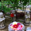 華の寺　８　地蔵とダリア
