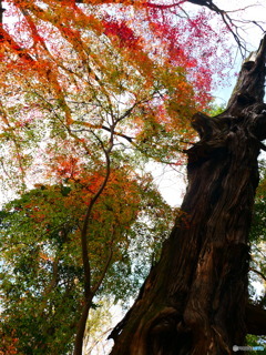 水谷（みずや）神社ー４