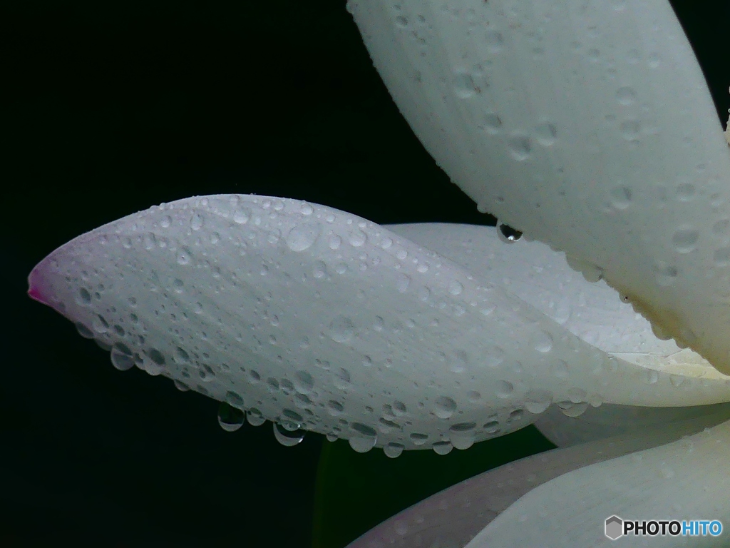 雨に打たれて・・・２