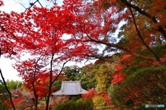 長岳寺の紅葉　１