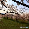 花道