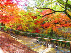 北野天満宮　もみじ園ー３