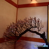 大和郡山盆梅展ー２