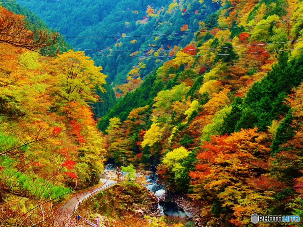 みたらい渓谷の紅葉－２