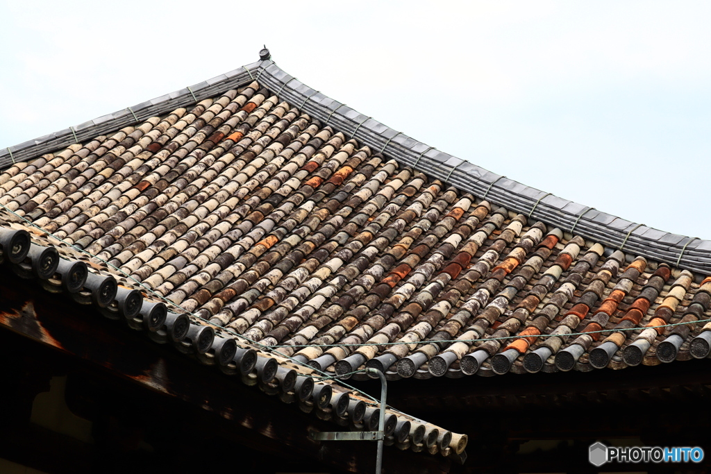 1400年の時を経ても