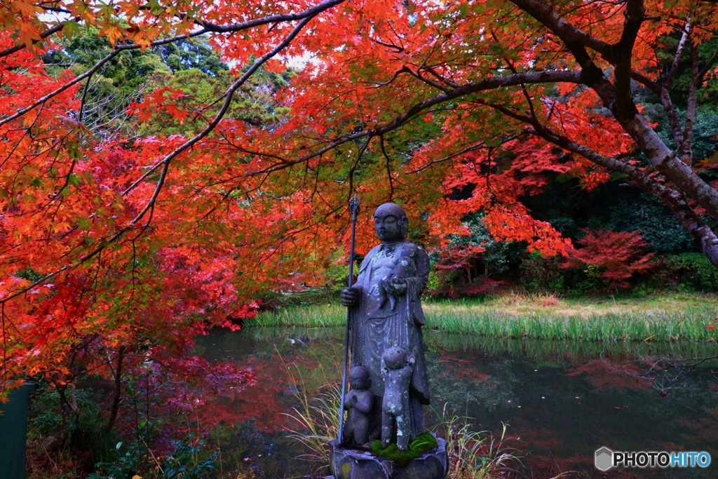 長岳寺の紅葉　４