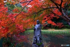 長岳寺の紅葉　４
