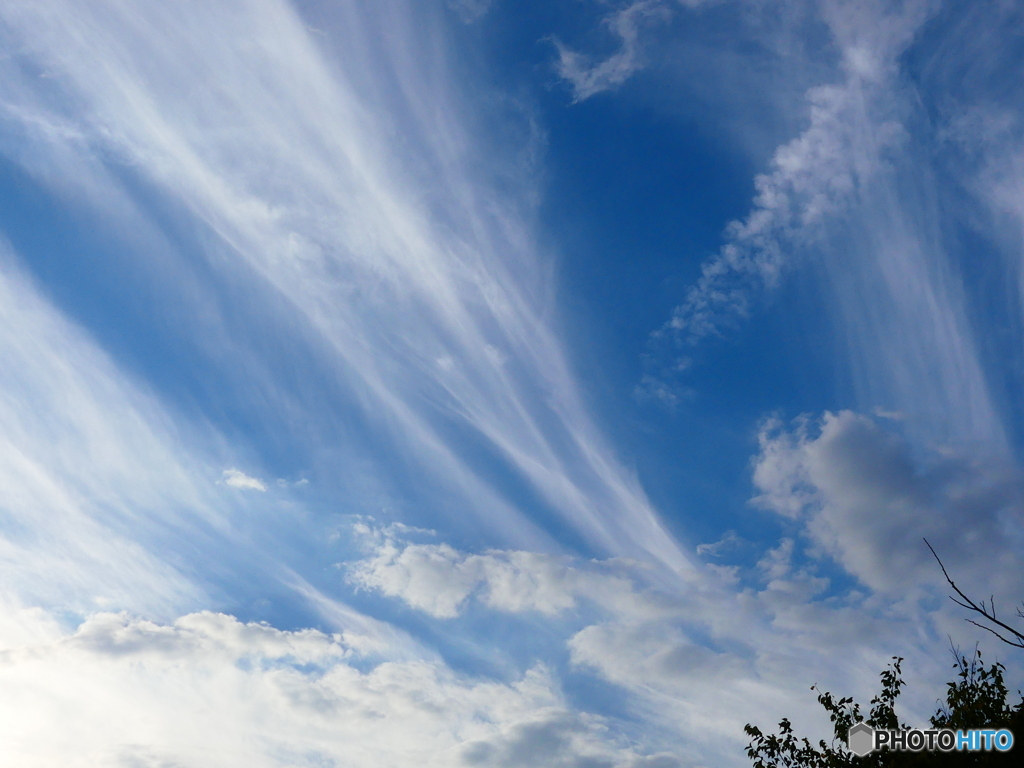 秋の雲ー１