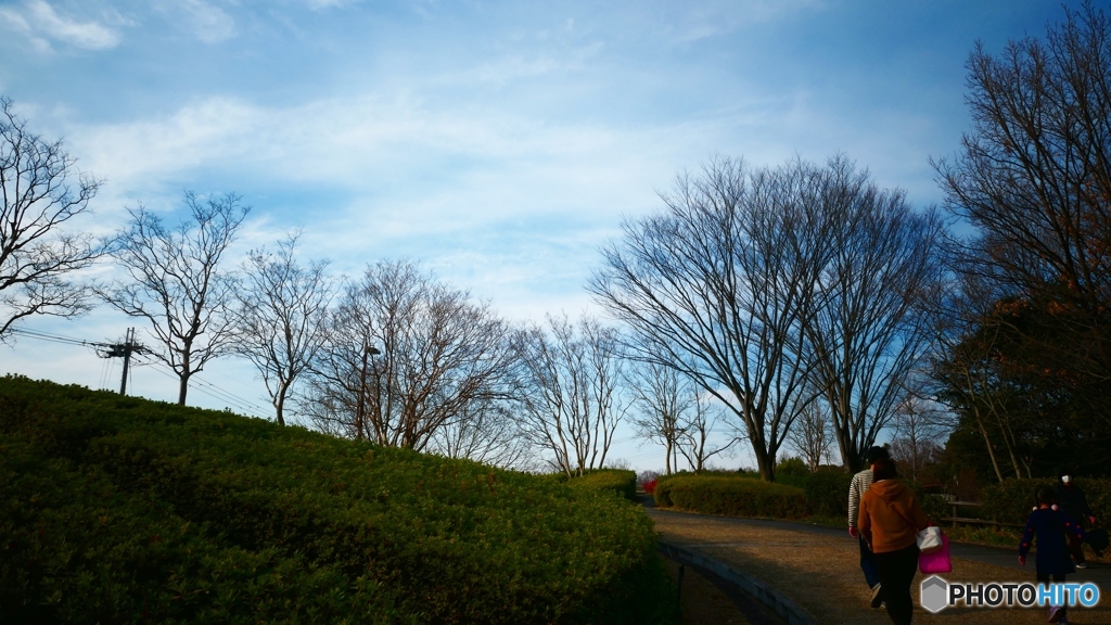 冬の公園