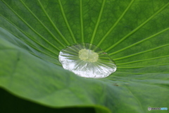 昨夜の雨で・・・