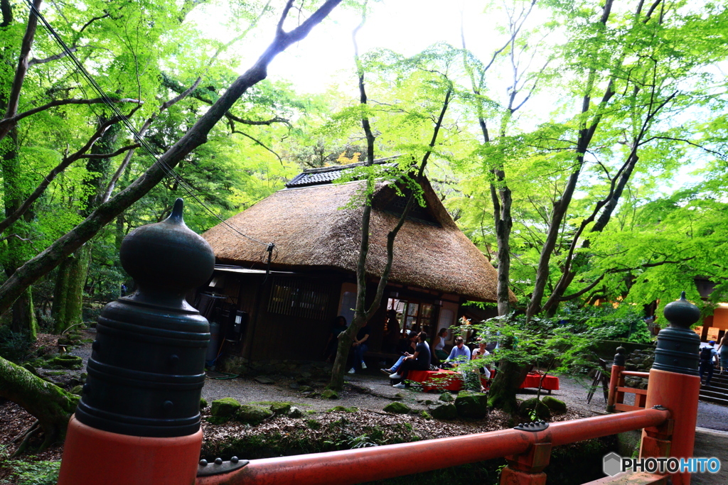 新緑の水谷茶屋