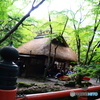 新緑の水谷茶屋