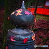擬宝珠にモミジ跡
