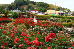 薔薇の寺　９