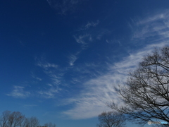 高い空