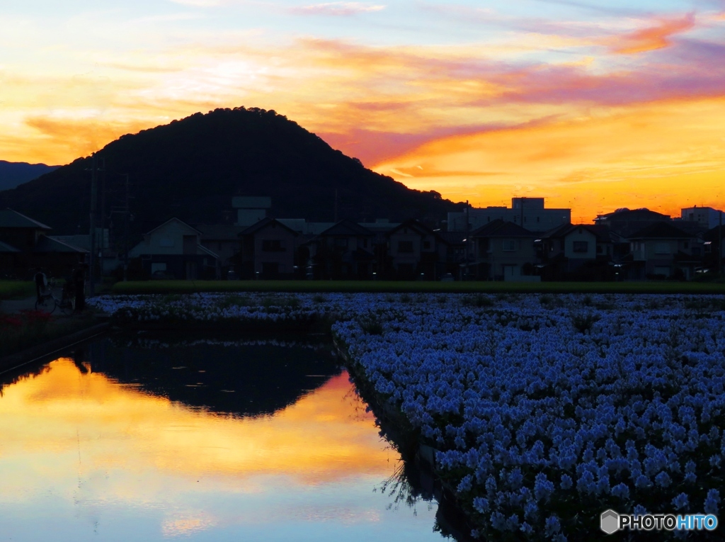 本薬師寺跡の夕焼け