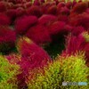 嵐が吹き荒れたかのようなー２