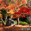 石上神宮外苑公園の紅葉　２