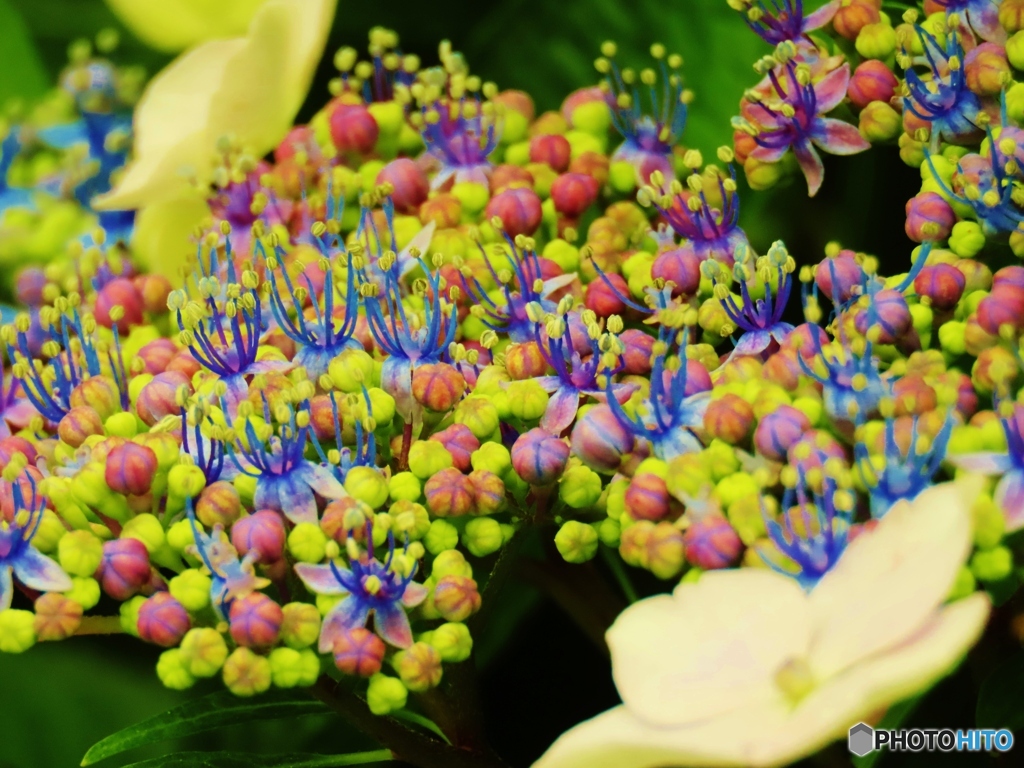 colorful-1