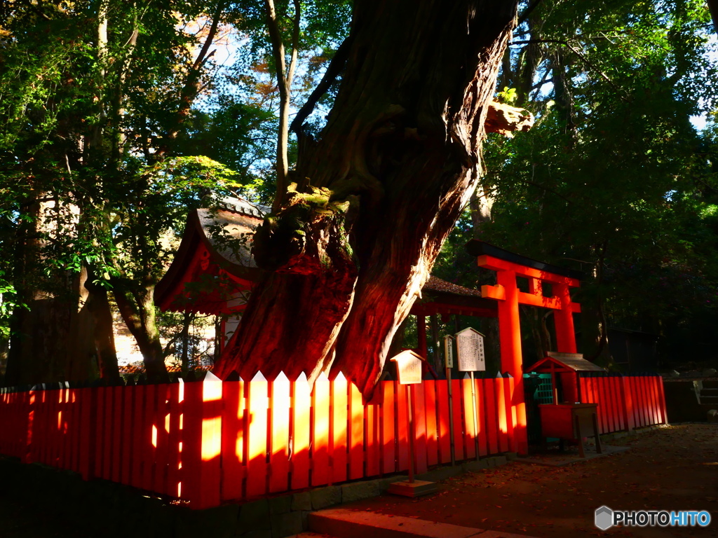 水谷（みずや）神社ー１