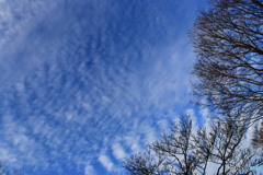師走の空ー2