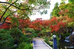 紅葉谷散策　７