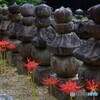 石塔と彼岸花