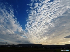 秋の空