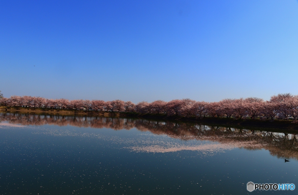 唐子（からこ）池