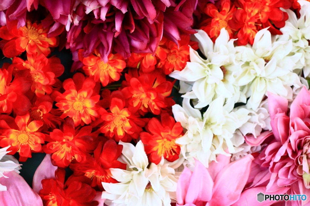 flower　２