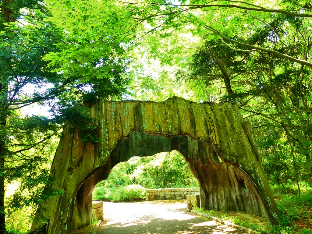 新緑に溶ける　馬見丘陵公園