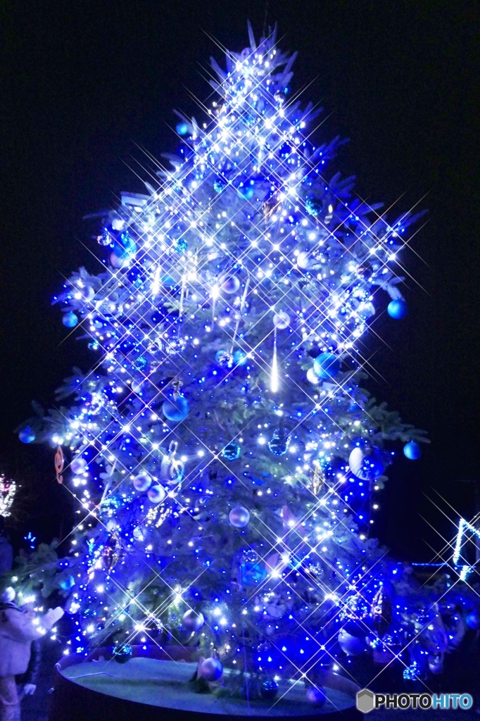 Merry Christmas !